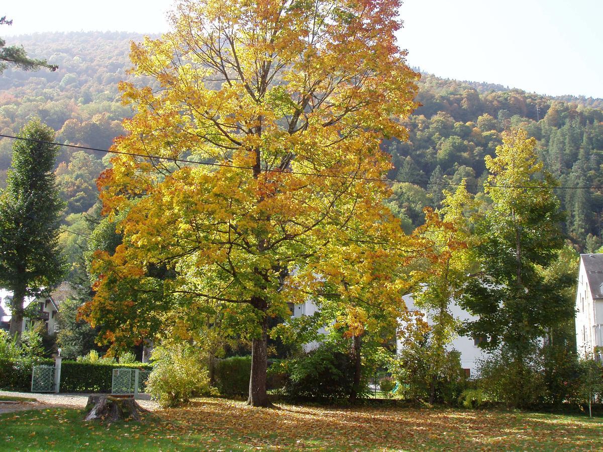 Castel De La Pique Bed and Breakfast Bagnères-de-Luchon Εξωτερικό φωτογραφία