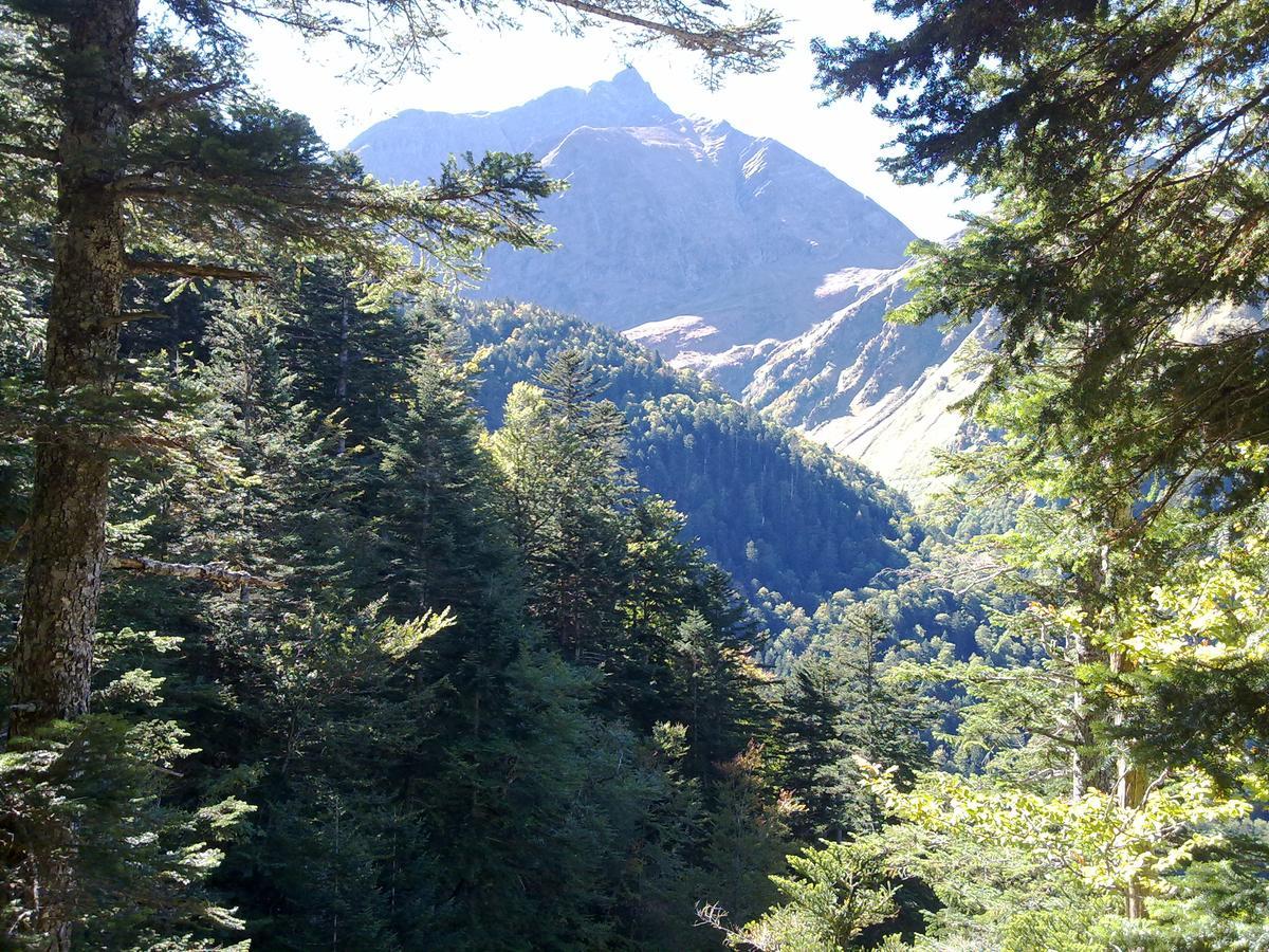 Castel De La Pique Bed and Breakfast Bagnères-de-Luchon Εξωτερικό φωτογραφία